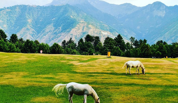 Best Hotels in Naran